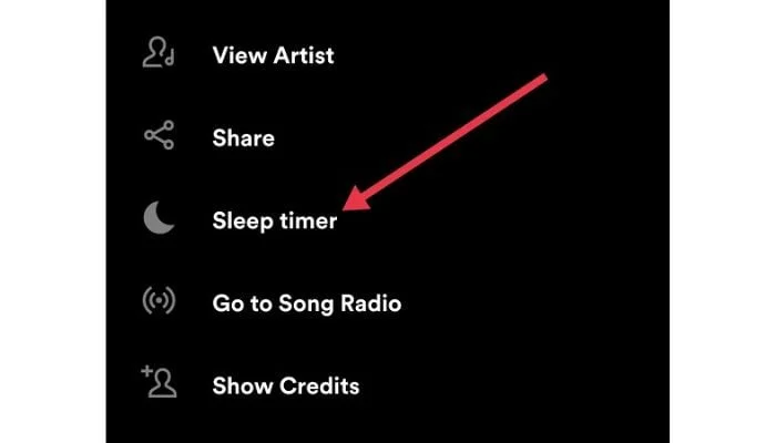 Spotify Sleep Timer Option